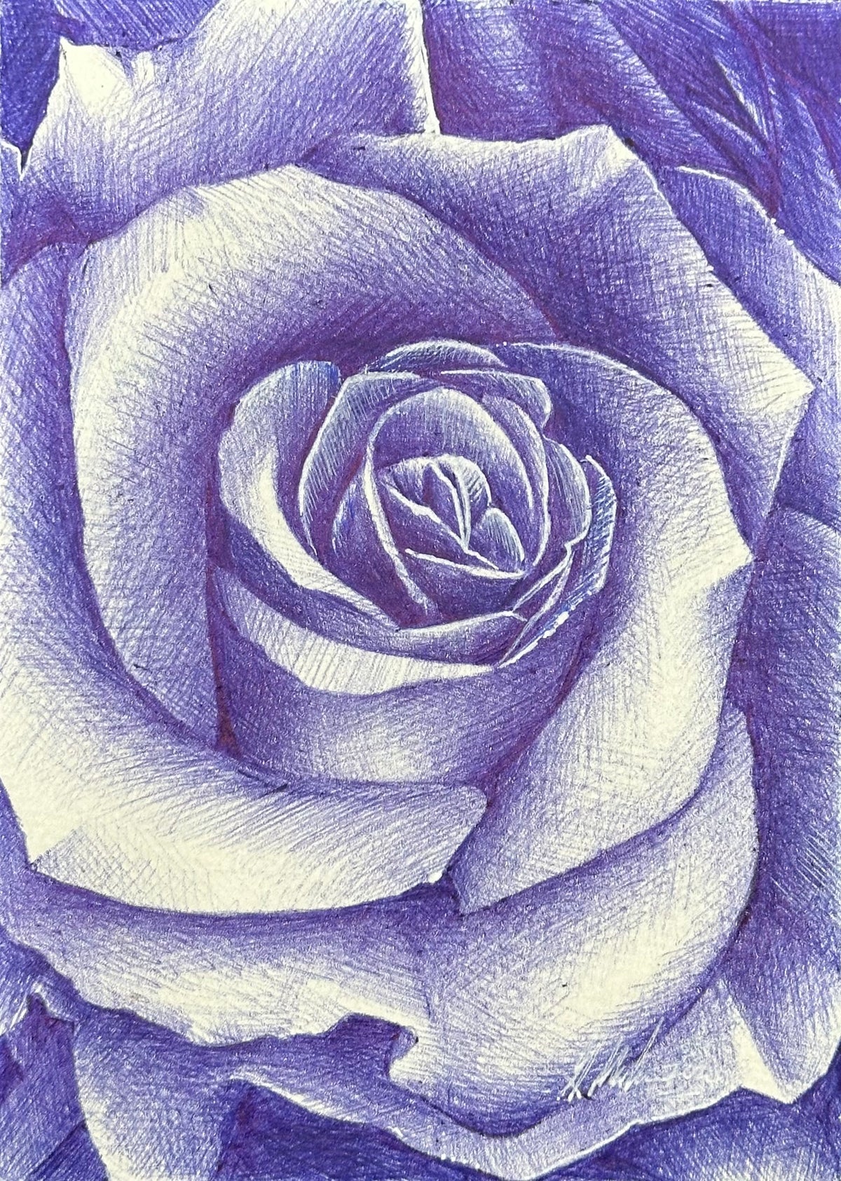 Rose Study