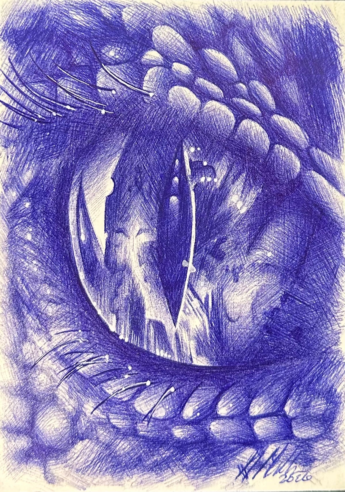 Lizard Eye